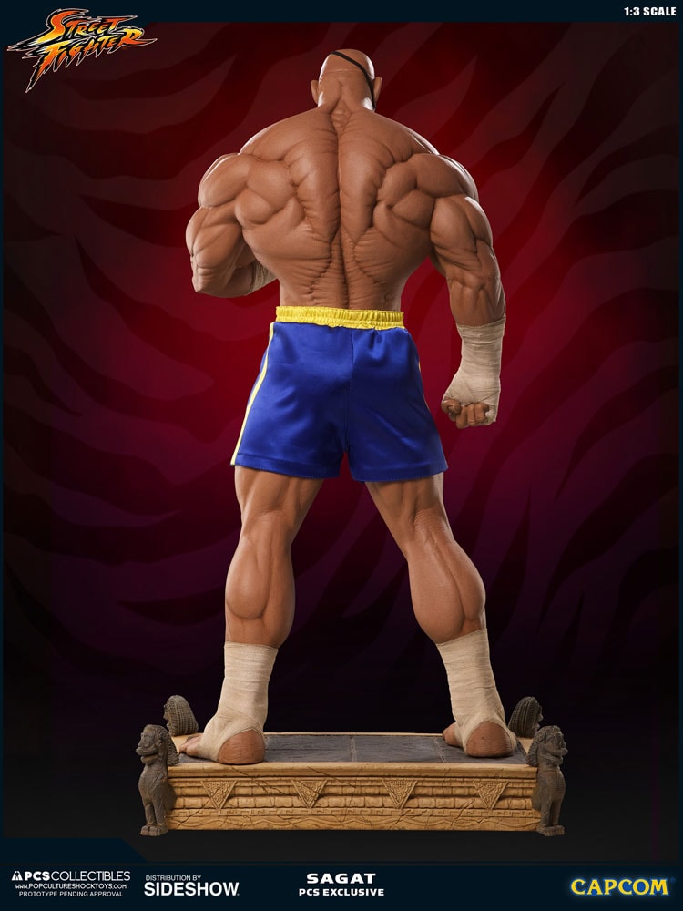 Sagat
