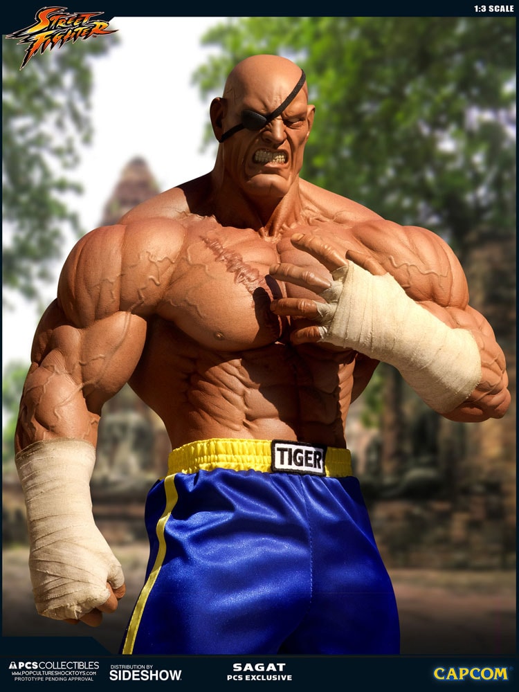 Sagat