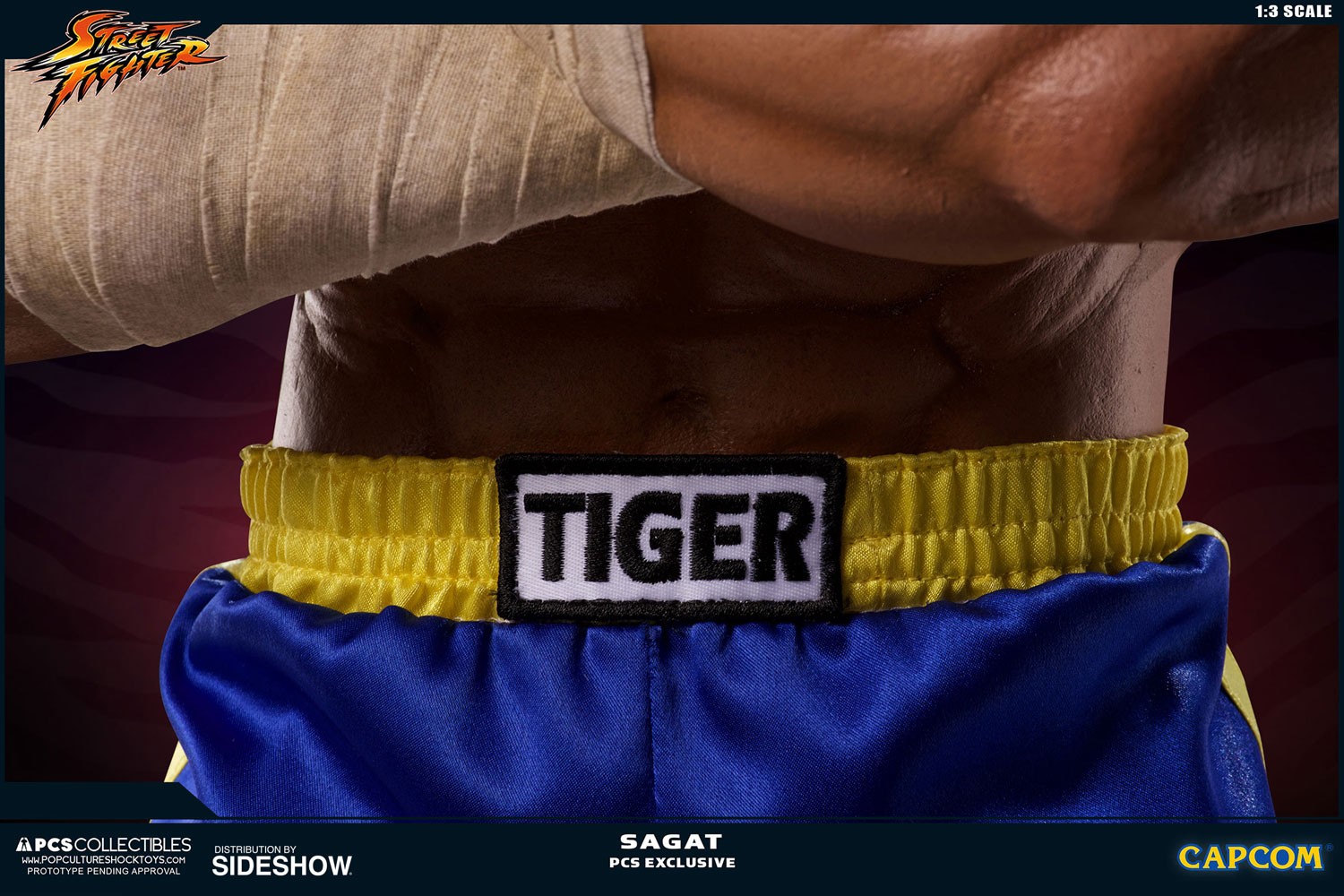 Sagat