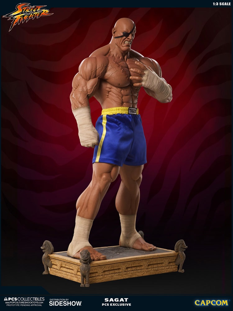 Sagat