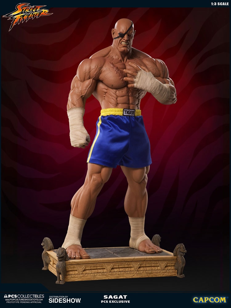 Sagat
