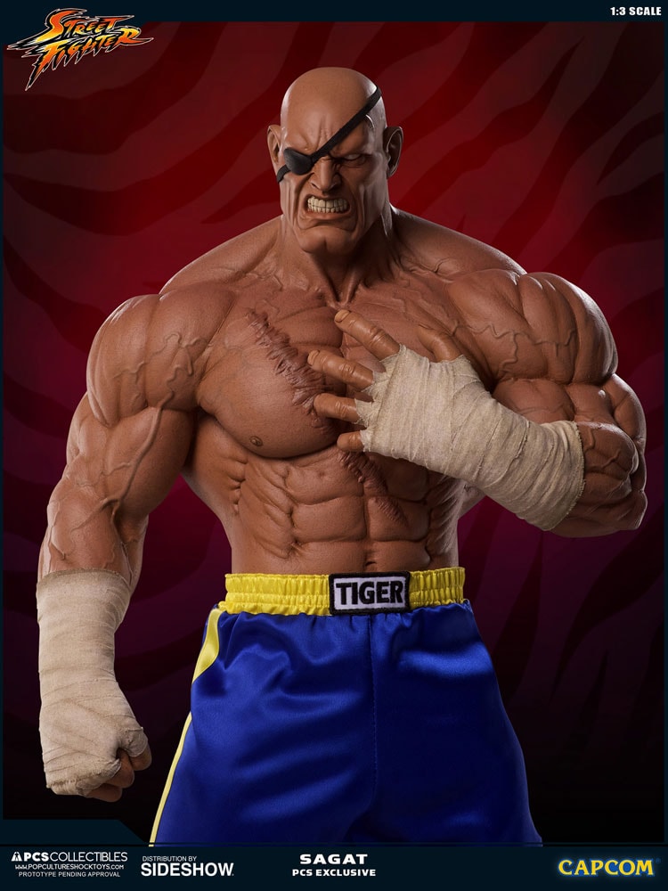 Sagat