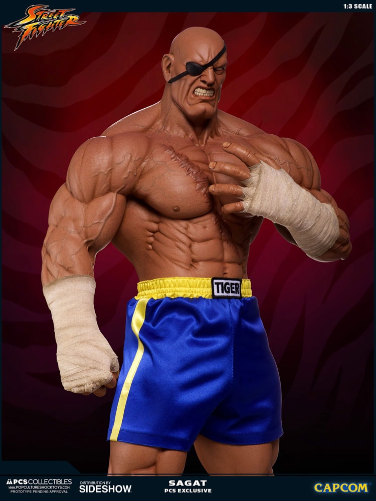 Sagat