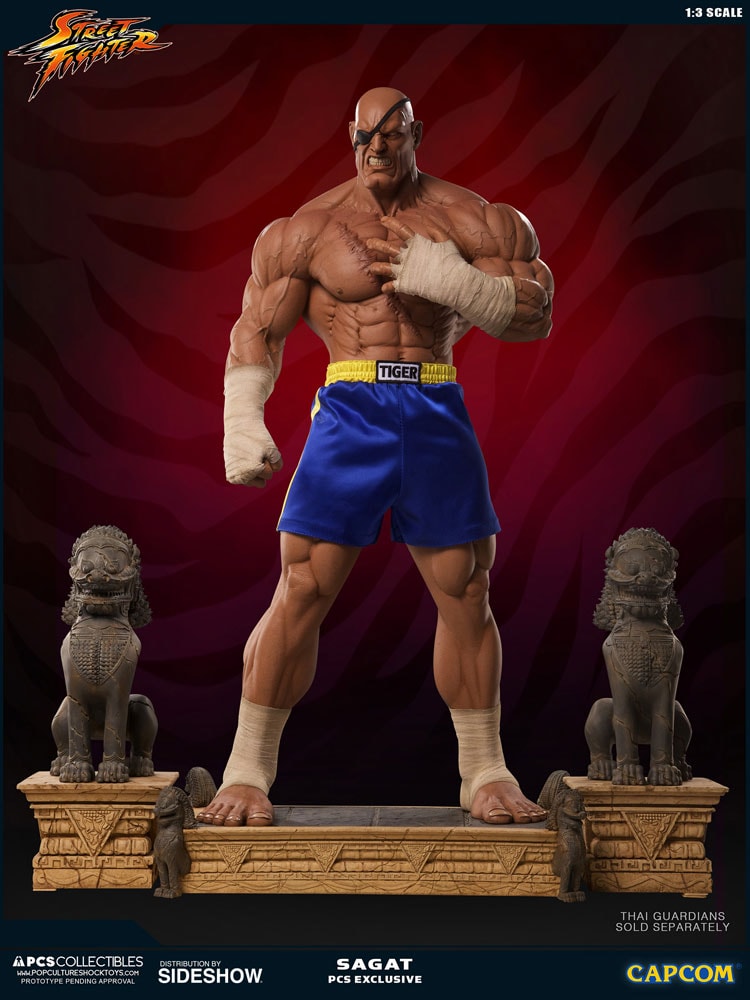 Sagat