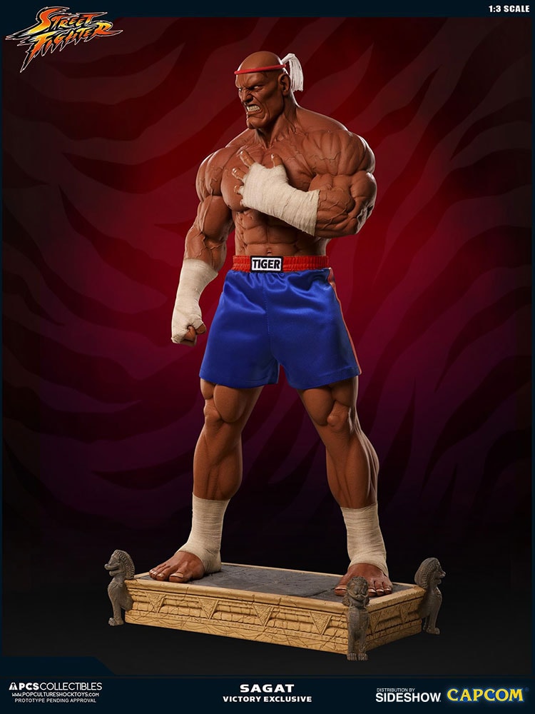 Sagat Victory
