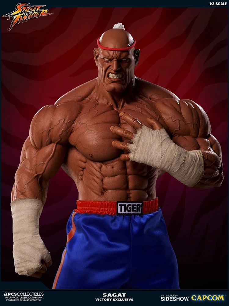 Sideshow street on sale fighter