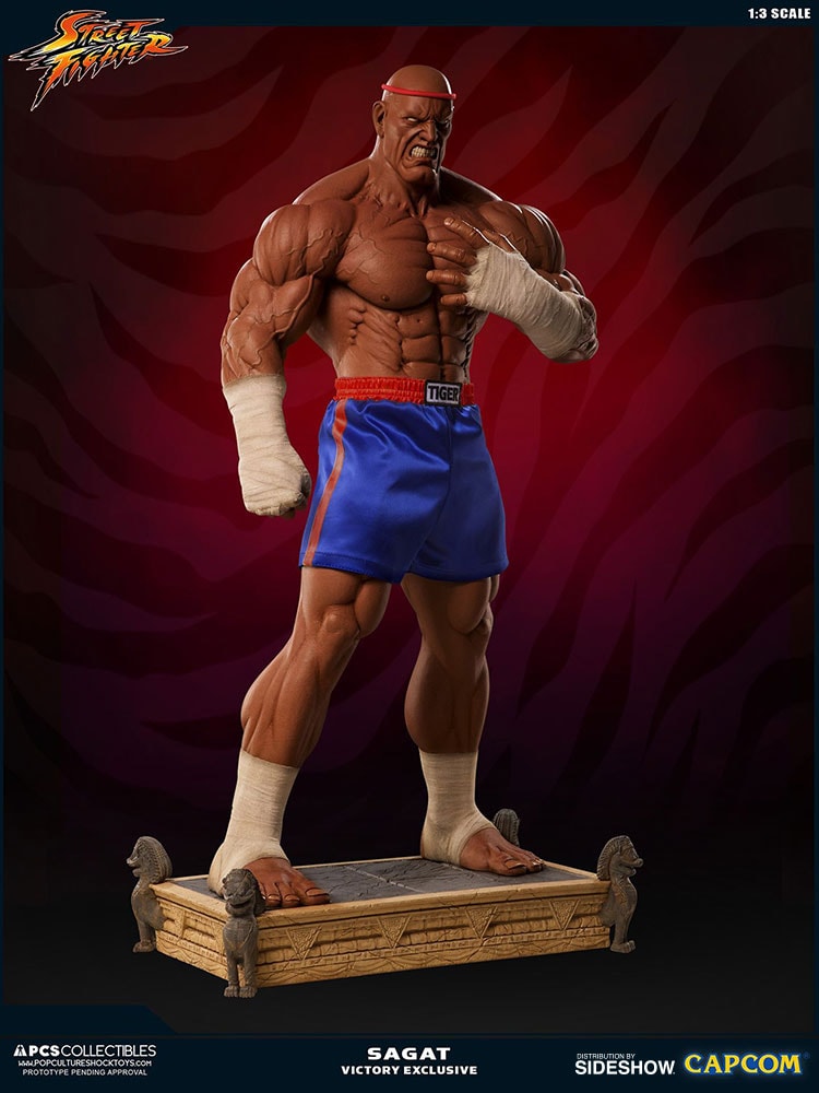 Sagat Victory