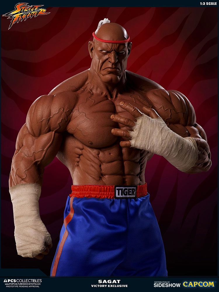 Sagat Victory