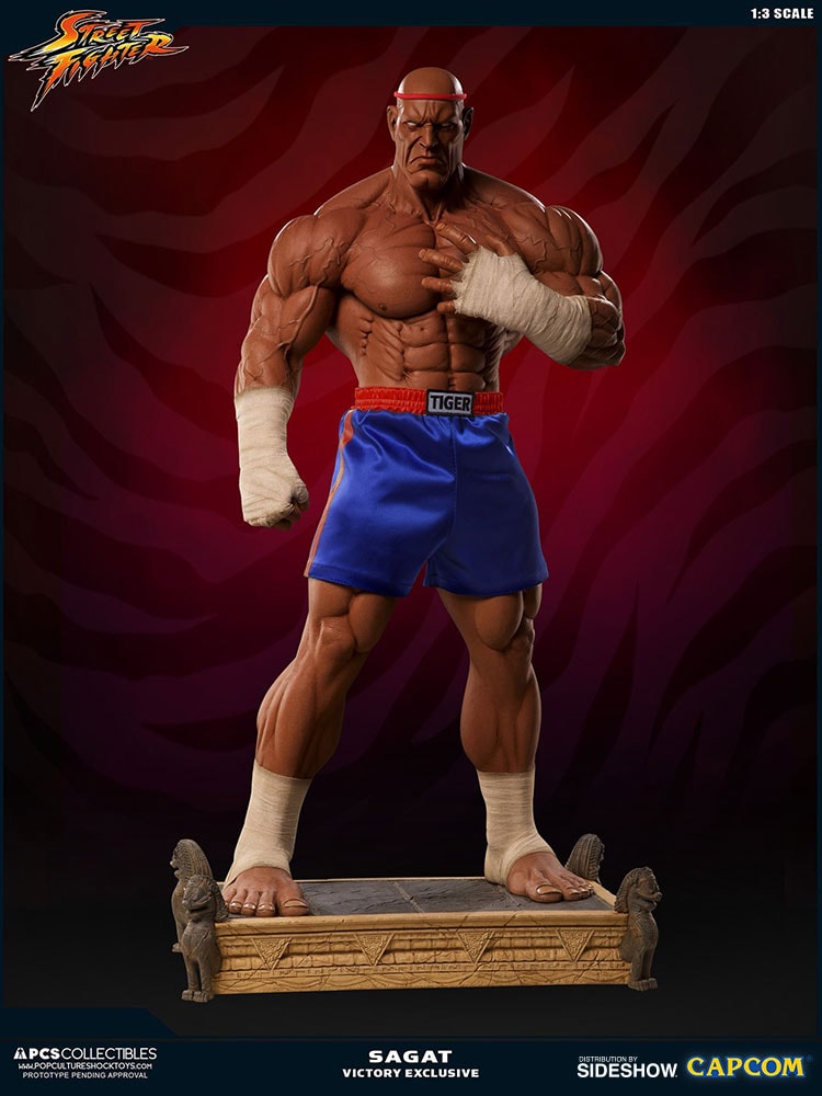 Sagat Victory
