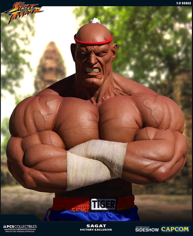 Sagat Victory