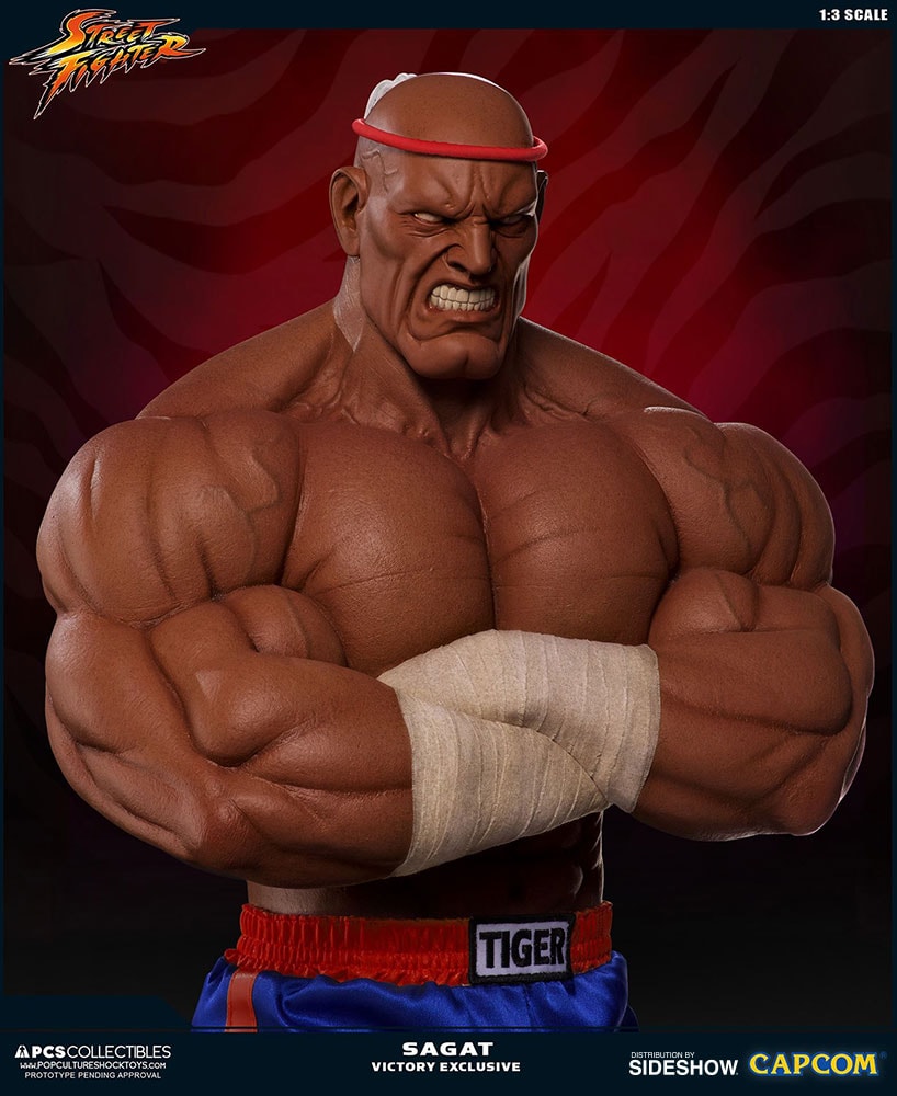 Sagat Victory