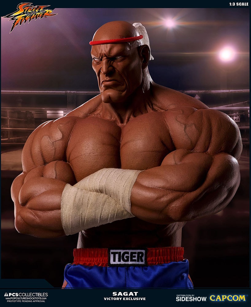 Sagat Victory Exclusive Edition 