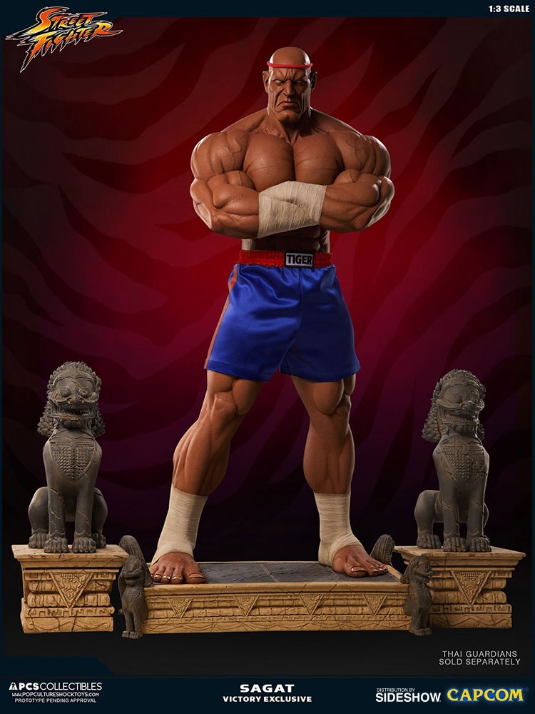 Sagat Victory