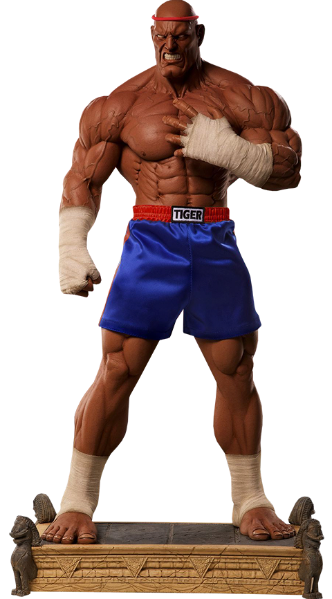 Sagat Victory