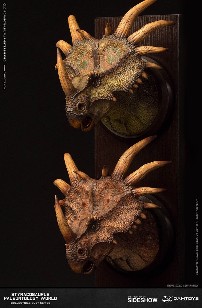 Styracosaurus Bust  Exclusive Edition (Prototype Shown) View 7