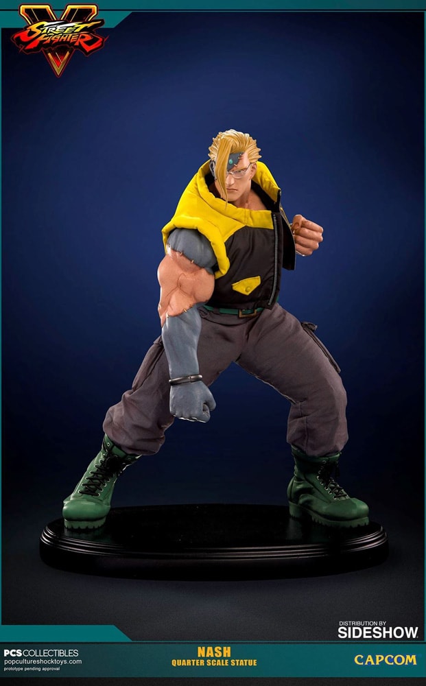 Sideshow street on sale fighter