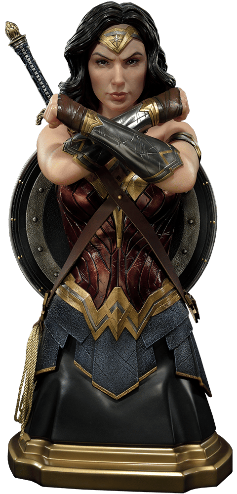 DC Comics Wonder Woman Bust  (Prototype Shown) View 13