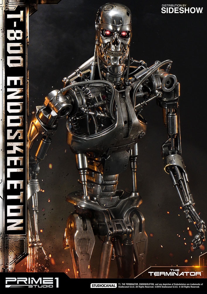 T-800 Endoskeleton The Terminator