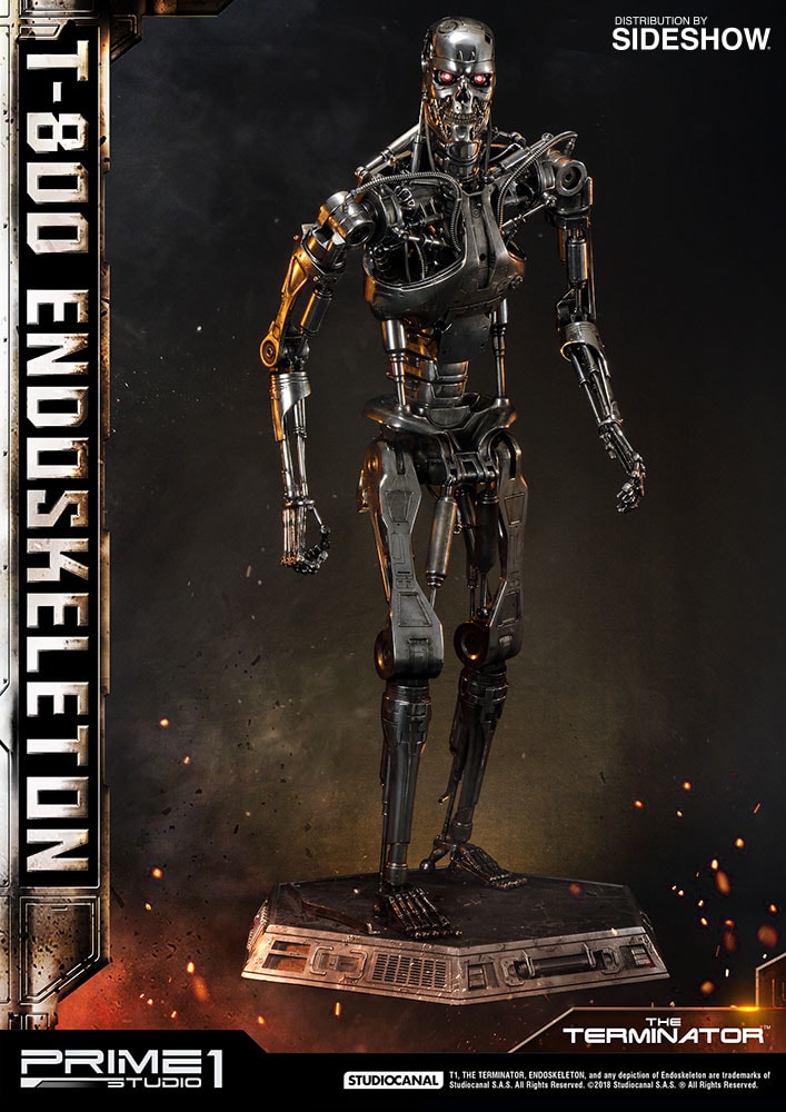 T-800 Endoskeleton The Terminator