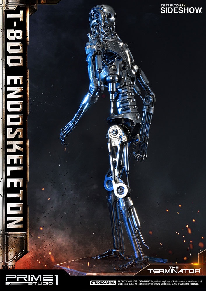 T-800 Endoskeleton The Terminator