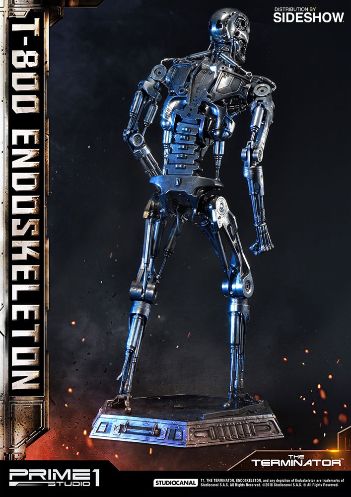 T-800 Endoskeleton The Terminator