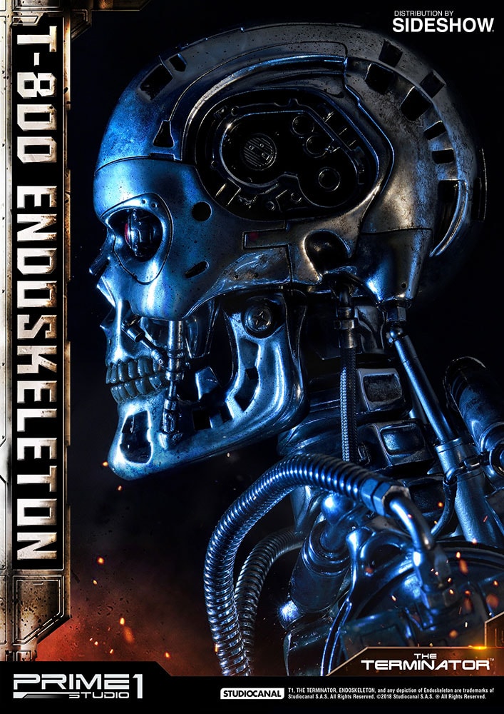 T-800 Endoskeleton The Terminator
