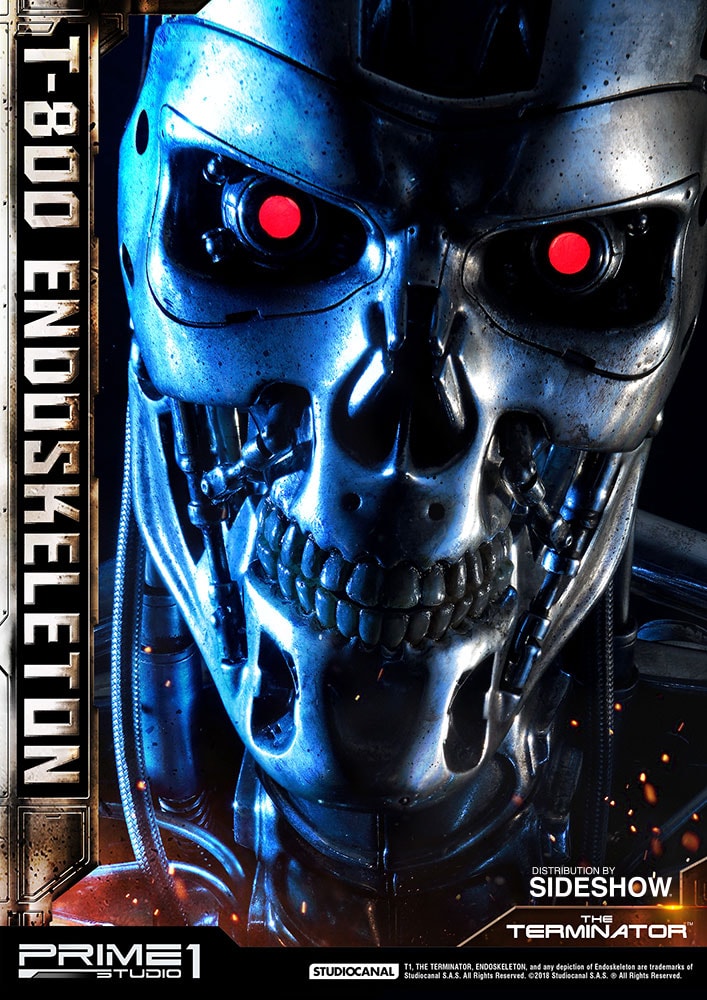 T-800 Endoskeleton The Terminator