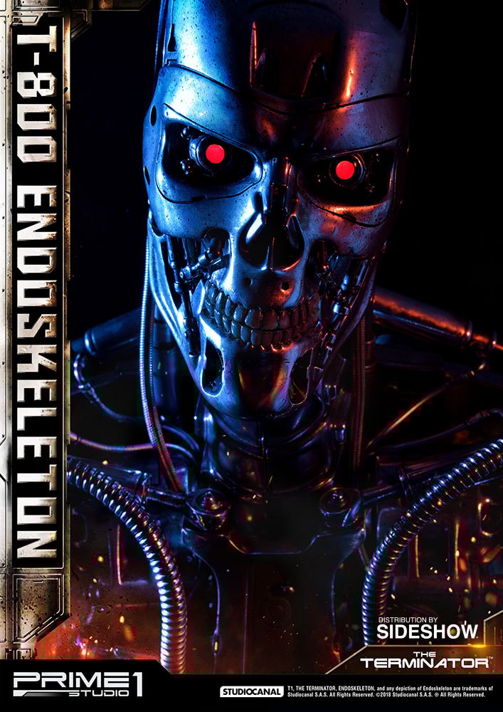 T-800 Endoskeleton The Terminator