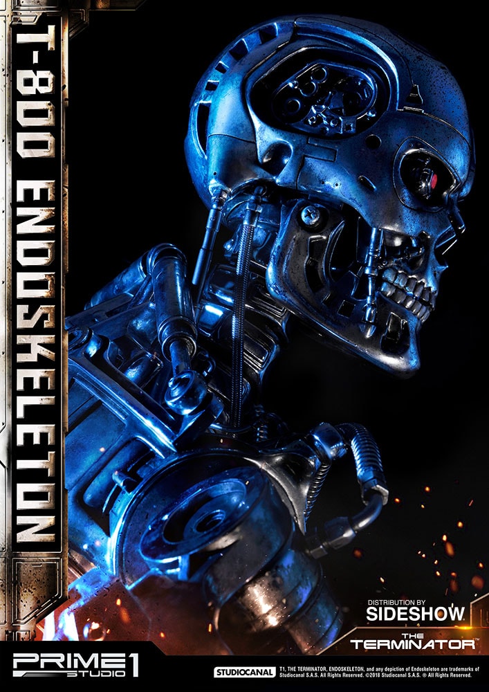 T-800 Endoskeleton The Terminator