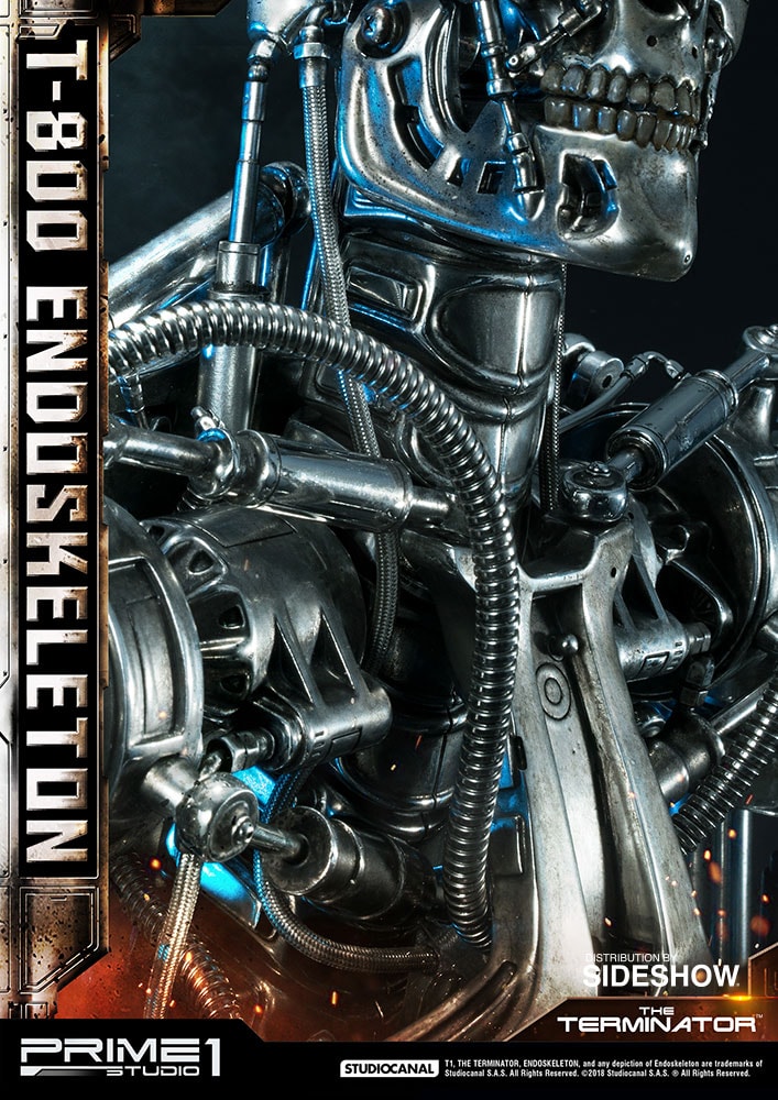 T-800 Endoskeleton The Terminator