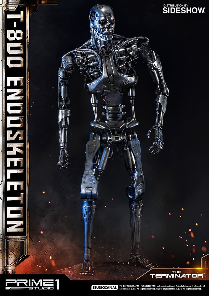 T-800 Endoskeleton The Terminator