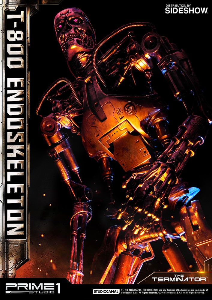 T-800 Endoskeleton The Terminator