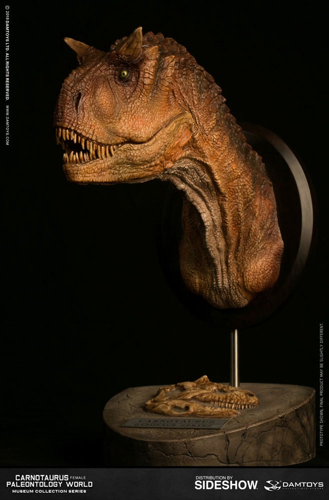 Carnotaurus Female Bust  (Prototype Shown) View 3