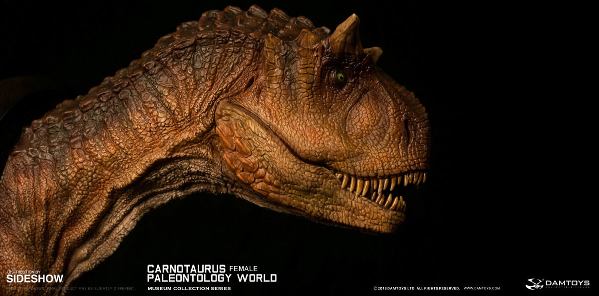 Carnotaurus Female Bust  (Prototype Shown) View 8