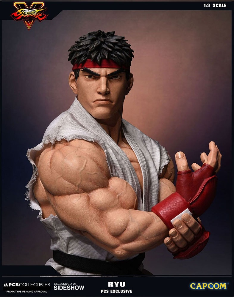 Pop culture shock street hotsell fighter