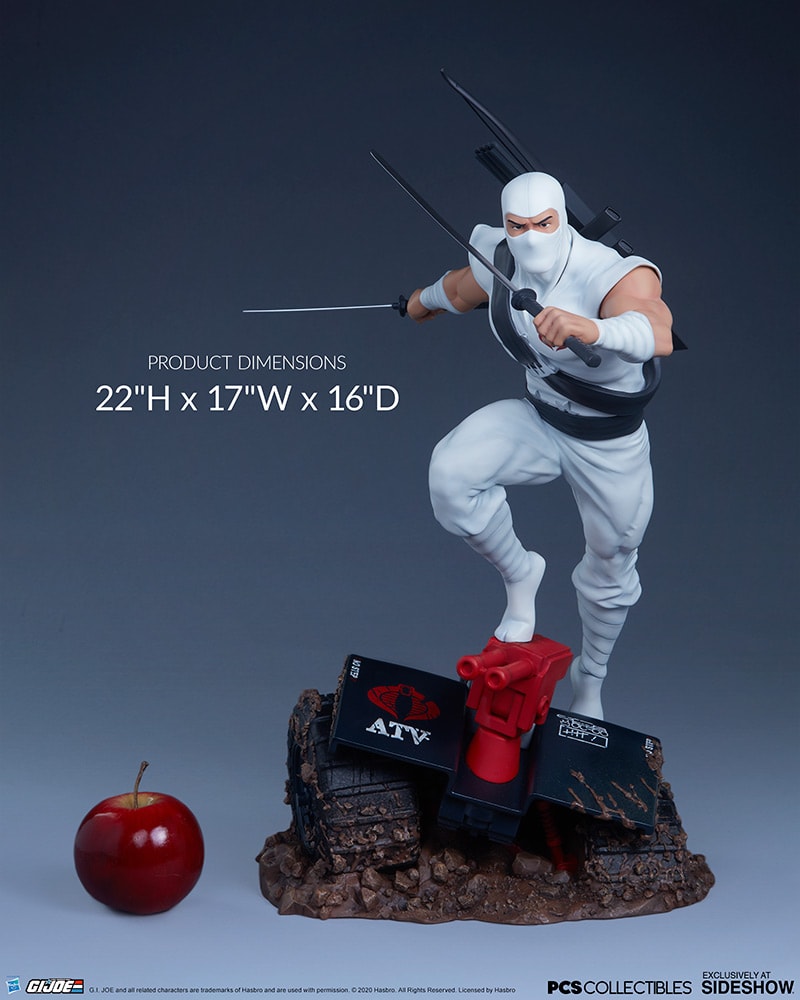 Storm Shadow Collector Edition View 26