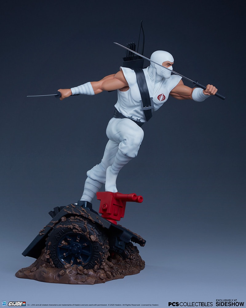 Storm Shadow Collector Edition View 22