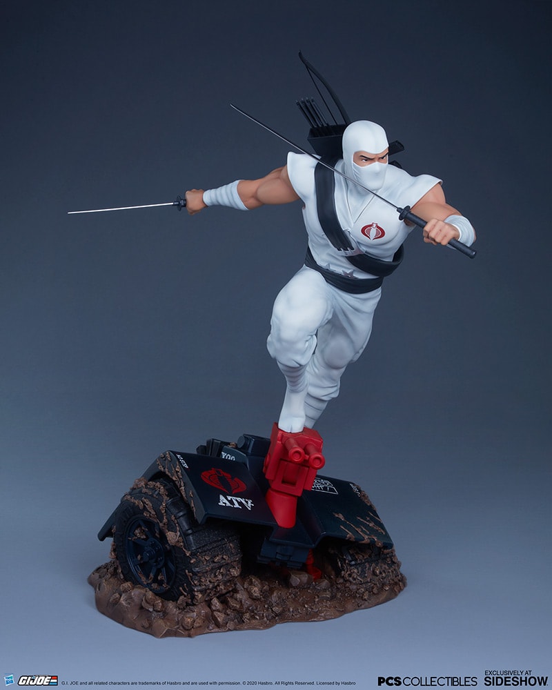 Storm Shadow Collector Edition View 21
