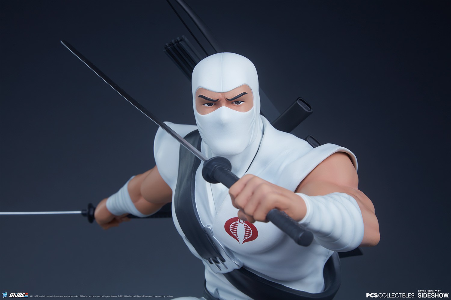 Storm Shadow Collector Edition View 18