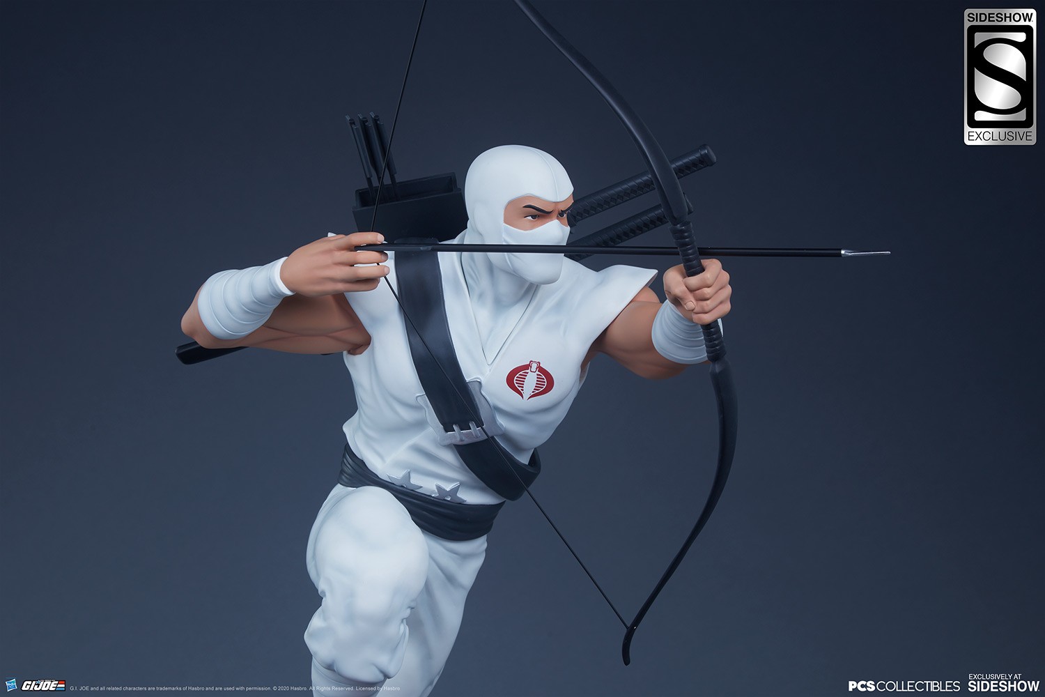 Storm Shadow Arashikage Exclusive Edition View 2