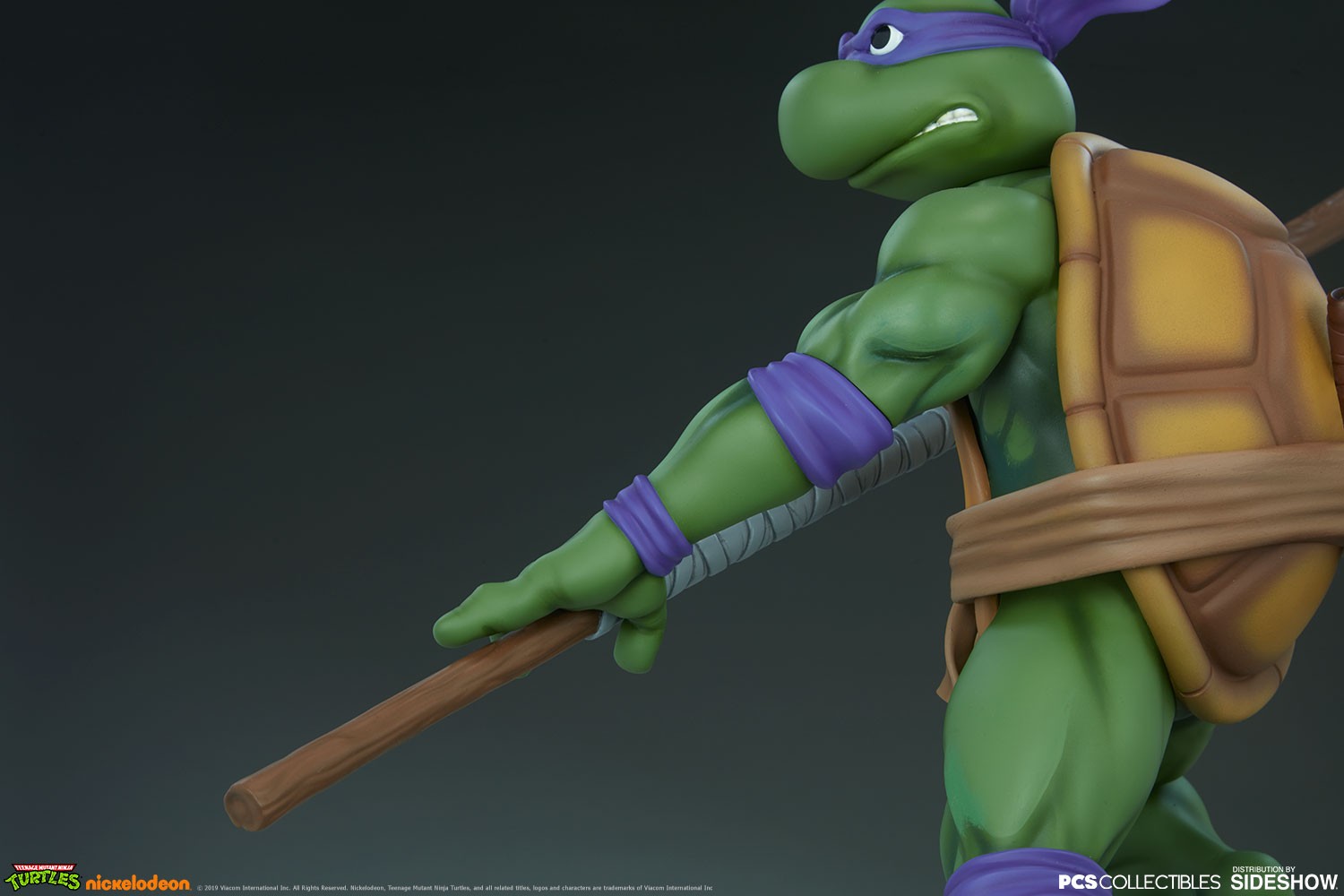 Donatello (Prototype Shown) View 15