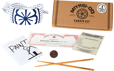 The Karate Kid Miyagi Do Karate Kit