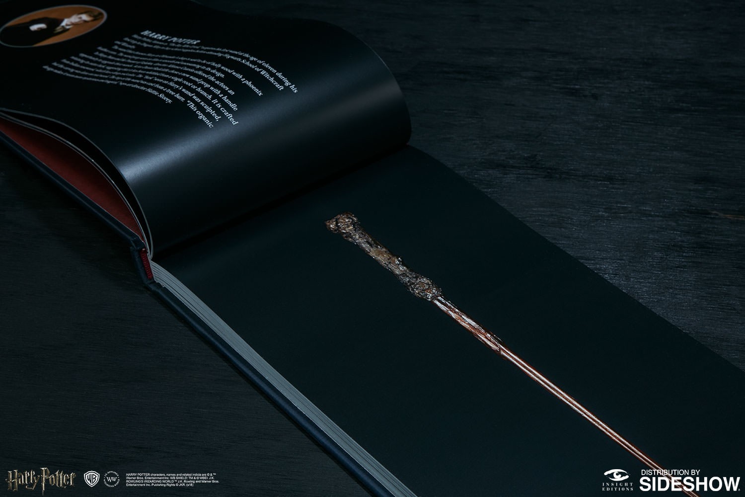Harry Potter The Wand Collection (Prototype Shown) View 9