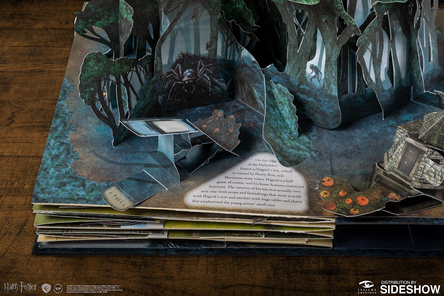 Harry Potter A Pop-Up Guide to Hogwarts (Prototype Shown) View 4