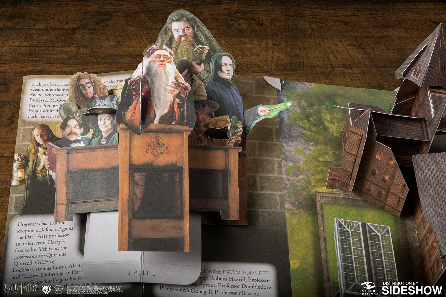 Harry Potter A Pop-Up Guide to Hogwarts (Prototype Shown) View 17