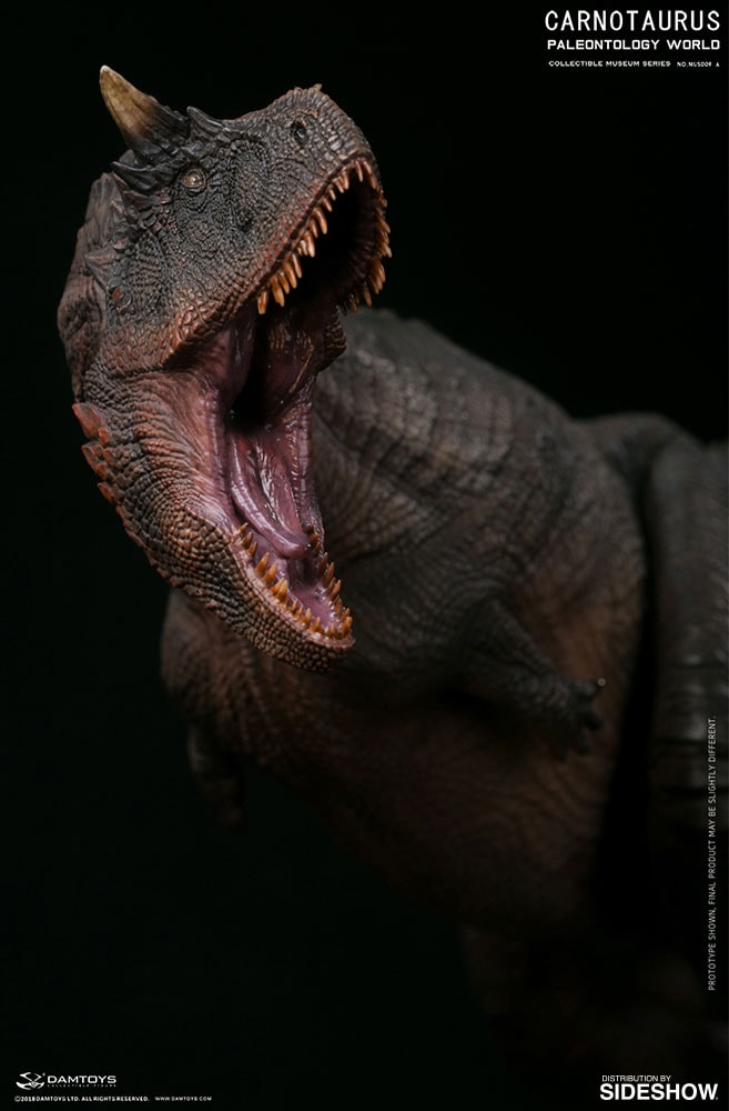 Carnotaurus Statues  Exclusive Edition (Prototype Shown) View 11
