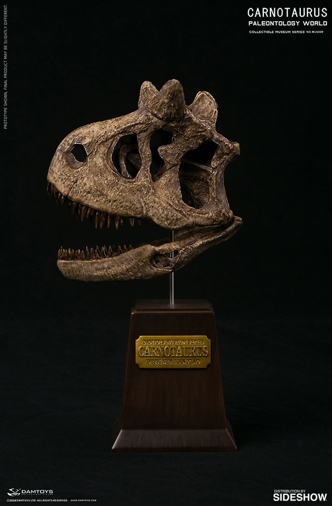 Carnotaurus Exclusive Edition (Prototype Shown) View 15