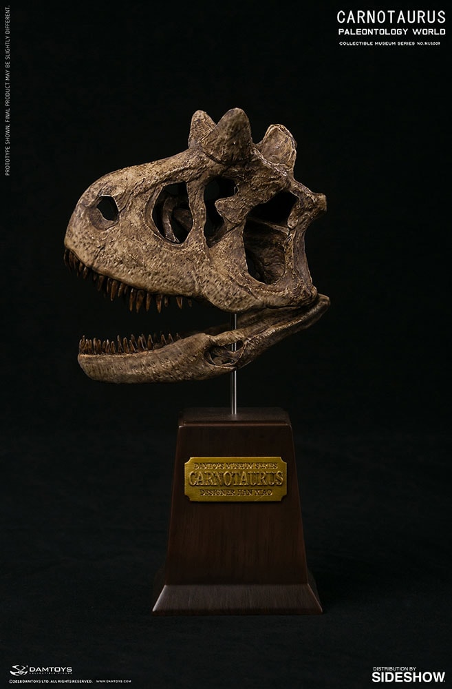 Carnotaurus Statues  Exclusive Edition (Prototype Shown) View 15