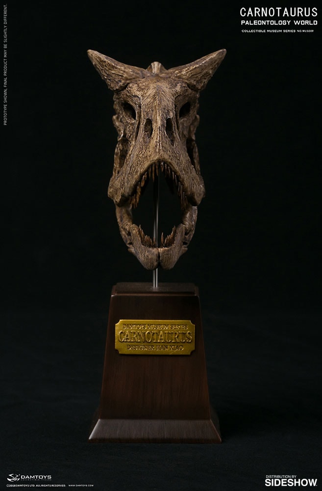 Carnotaurus Statues  Exclusive Edition (Prototype Shown) View 17
