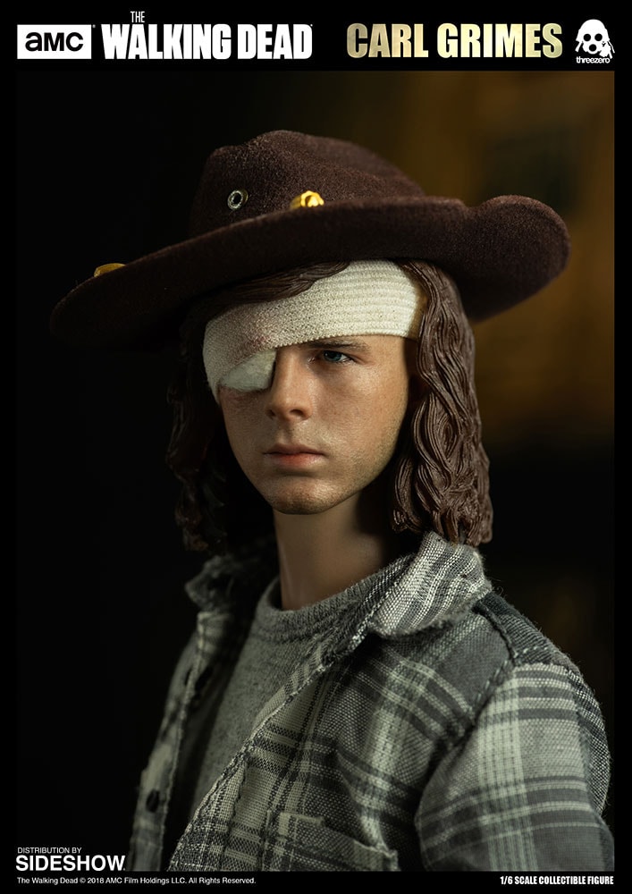 The Walking Dead Carl Grimes Sixth Scale Figure  Collector Edition (Prototype Shown) View 2